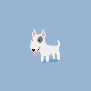 American Staffordshire Terrier