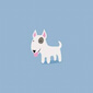 American Staffordshire Terrier