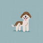 Lagotto Romagnolo