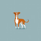 Greyhound
